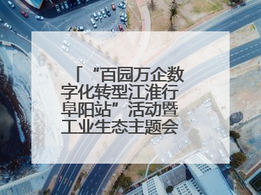 “百园万企数字化转型江淮行阜阳站”活动暨工业生态主题会议成功举办